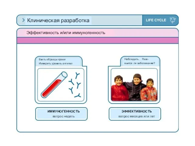 Клиническая разработка Эффективность и/или иммуногенность Взять образцы крови Измерить уровень антител ИММУНОГЕННОСТЬ