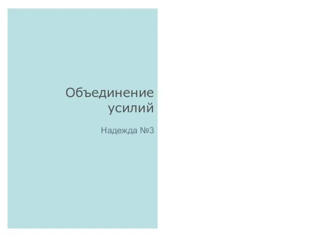 Объединение усилий Надежда №3