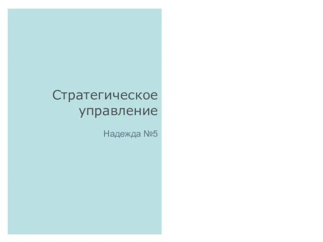 Стратегическое управление Надежда №5