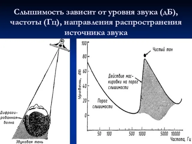 Слышимость зависит от уровня звука (дБ), частоты (Гц), направления распространения источника звука