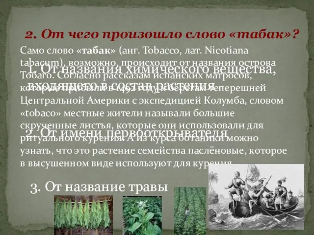 2. От чего произошло слово «табак»? 1. От названия химического вещества, входящего