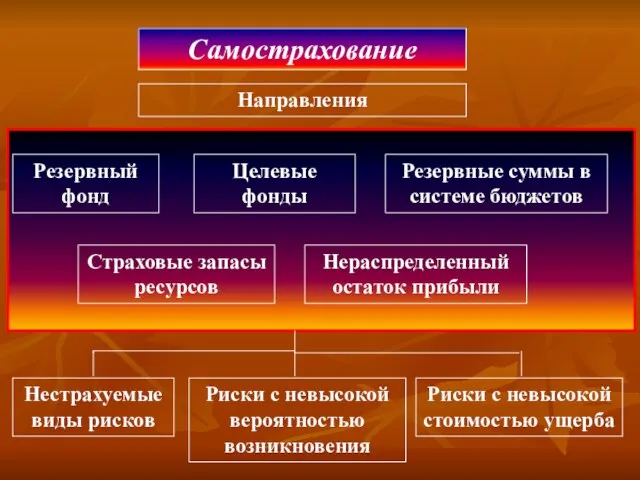 Самострахование Направления Резервный фонд Целевые фонды Резервные суммы в системе бюджетов Нераспределенный