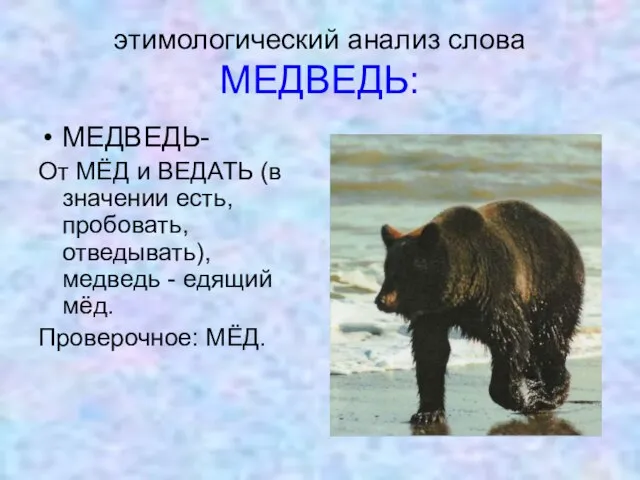 этимологический анализ слова МЕДВЕДЬ: МЕДВЕДЬ- От МЁД и ВЕДАТЬ (в значении есть,