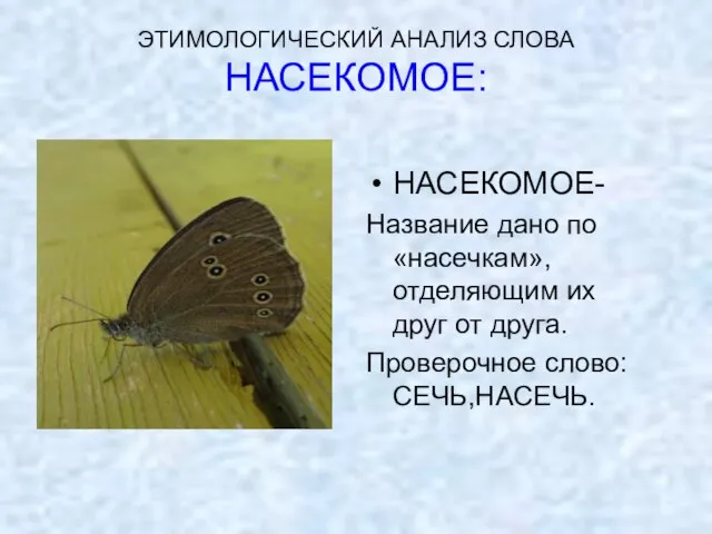 ЭТИМОЛОГИЧЕСКИЙ АНАЛИЗ СЛОВА НАСЕКОМОЕ: НАСЕКОМОЕ- Название дано по «насечкам», отделяющим их друг