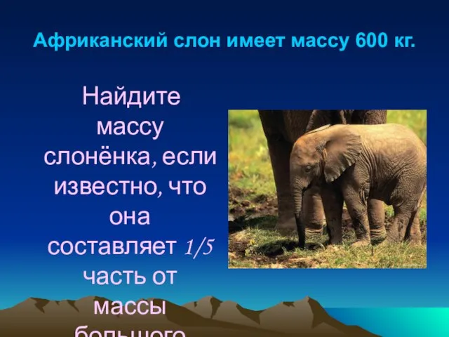 Африканский слон имеет массу 600 кг. Найдите массу слонёнка, если известно, что