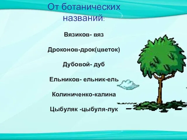 От ботанических названий: Вязиков- вяз Дроконов-дрок(цветок) Дубовой- дуб Ельников- ельник-ель Колиниченко-калина Цыбуляк