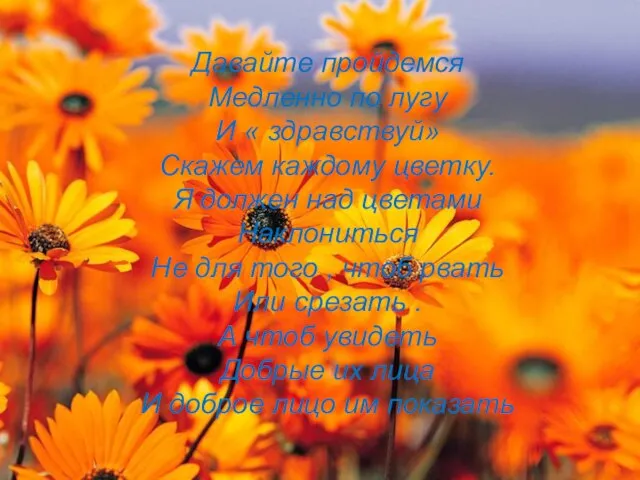 Давайте пройдемся Медленно по лугу И « здравствуй» Скажем каждому цветку. Я