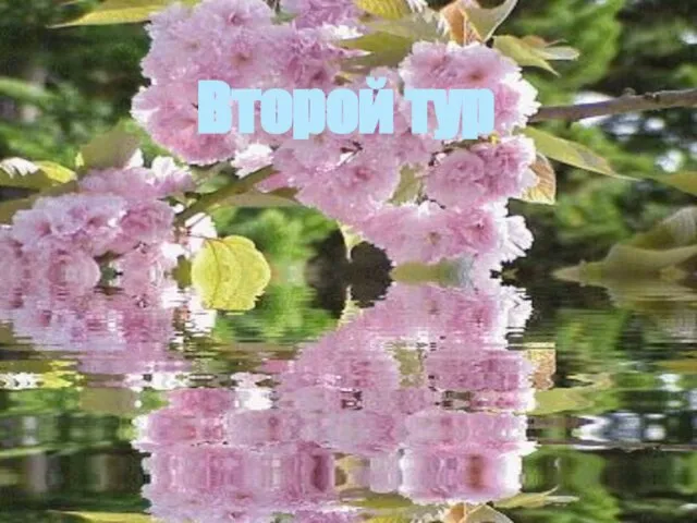 Второй тур