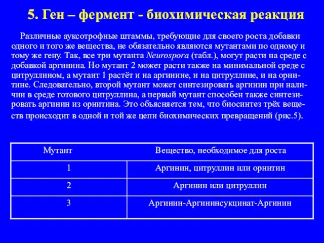 5. Ген – фермент - биохимическая реакция Различные ауксотрофные штаммы, требующие для