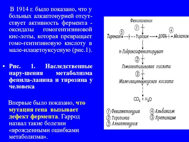 В 1914 г. было показано, что у больных алкаптонурией отсут-ствует активность фермента