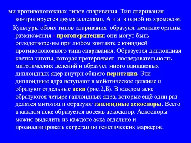 ми противоположных типов спаривания. Тип спаривания контролируется двумя аллелями, А и а