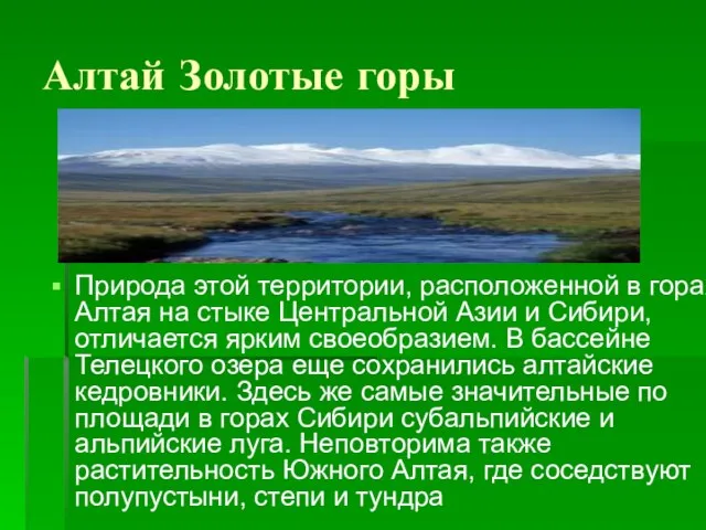 Алтай Золотые горы Природа этой территории, расположенной в горах Алтая на стыке