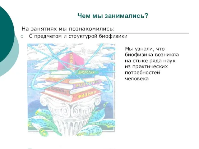 Чем мы занимались? На занятиях мы познакомились: С предметом и структурой биофизики