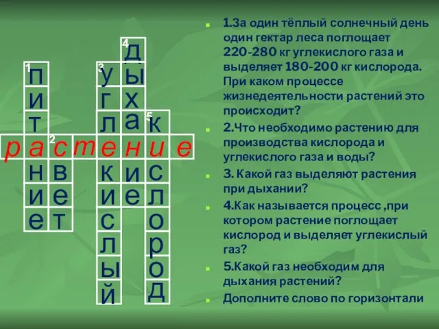 1.За один тёплый солнечный день один гектар леса поглощает 220-280 кг углекислого