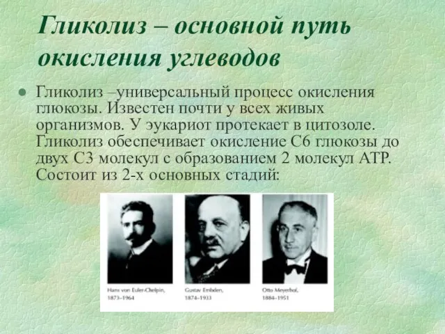 Гликолиз – основной путь окисления углеводов Гликолиз –универсальный процесс окисления глюкозы. Известен