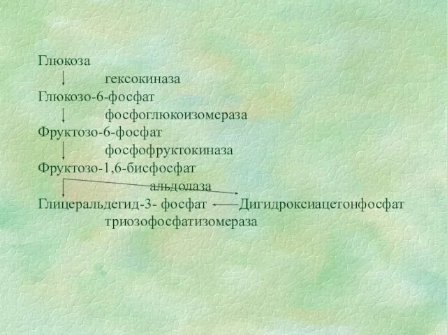 Глюкоза гексокиназа Глюкозо-6-фосфат фосфоглюкоизомераза Фруктозо-6-фосфат фосфофруктокиназа Фруктозо-1,6-бисфосфат альдолаза Глицеральдегид-3- фосфат Дигидроксиацетонфосфат триозофосфатизомераза