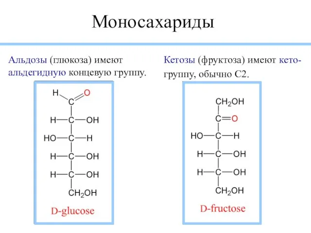 Моносахариды Альдозы (глюкоза) имеют альдегидную концевую группу. Кетозы (фруктоза) имеют кето-группу, обычно C2.