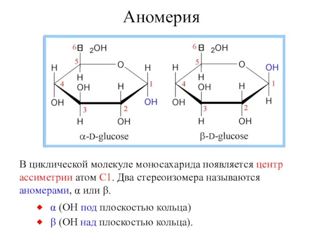 В циклической молекуле моносахарида появляется центр ассиметрии атом C1. Два стереоизомера называются