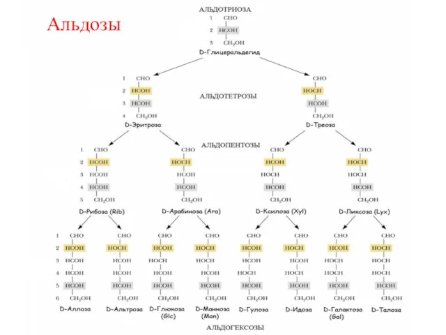 Альдозы