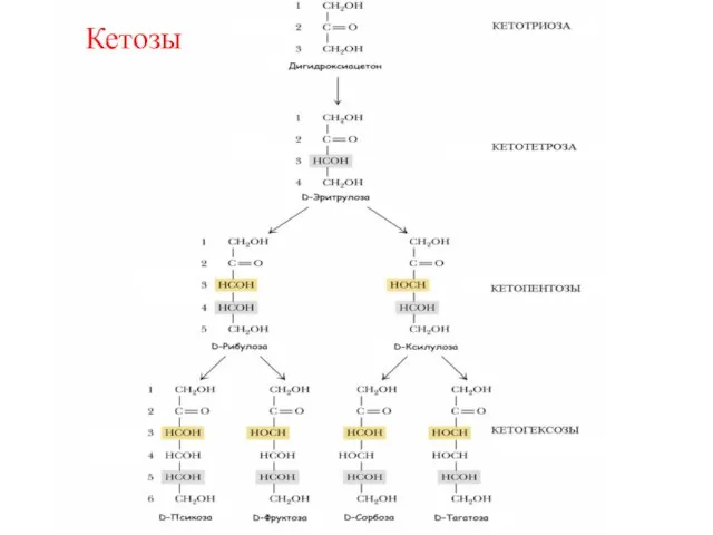 Кетозы