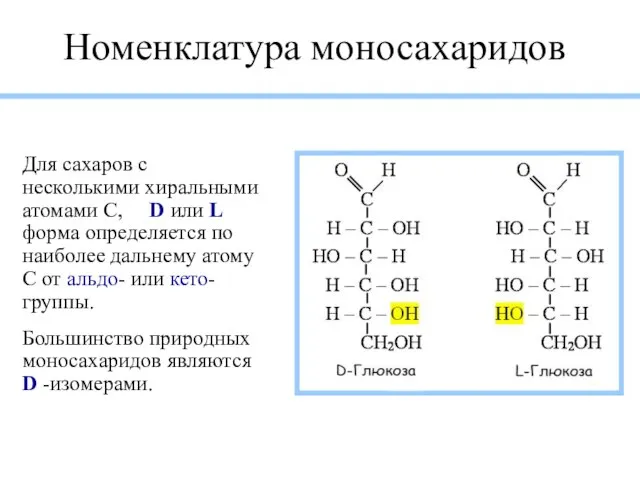 Номенклатура моносахаридов Для сахаров с несколькими хиральными атомами С, D или L