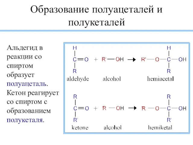 Образование полуацеталей и полукеталей Альдегид в реакции со спиртом образует полуацеталь. Кетон