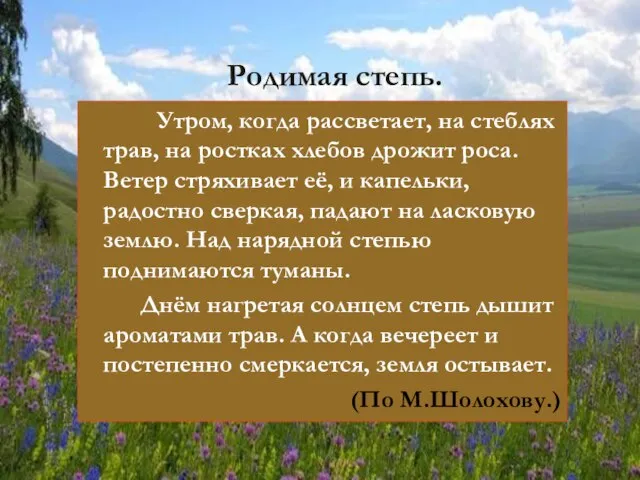 Родимая степь. Утром, когда рассветает, на стеблях трав, на ростках хлебов дрожит