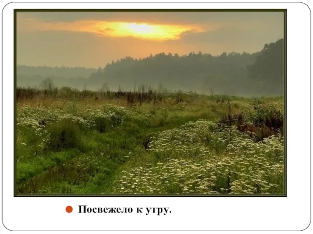 Посвежело к утру.