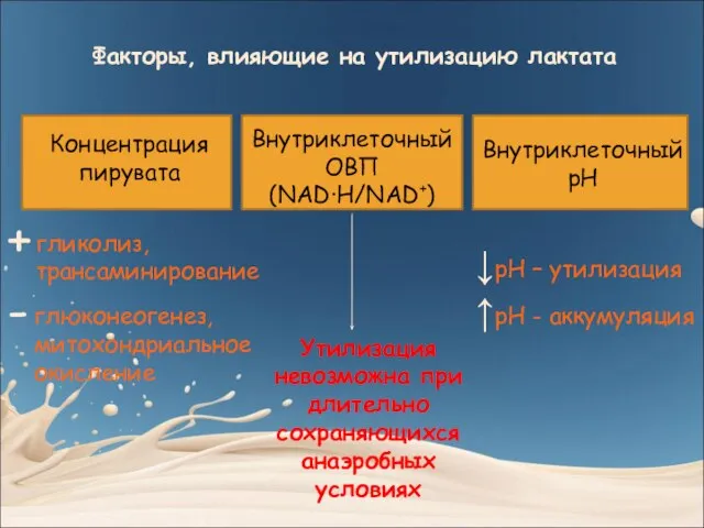 Факторы, влияющие на утилизацию лактата Концентрация пирувата Внутриклеточный ОВП (NAD∙H/NAD+) Внутриклеточный рН