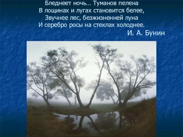 Бледнеет ночь… Туманов пелена В лощинах и лугах становится белее, Звучнее лес,