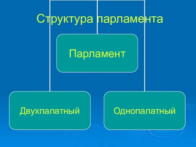 Структура парламента