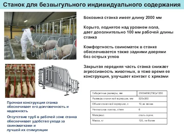 Станок для безвыгульного индивидуального содержания Боковина станка имеет длину 2000 мм Корыто,