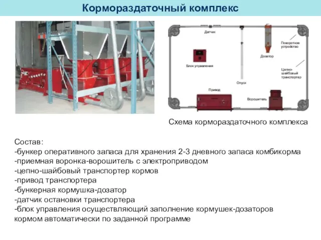 Кормораздаточный комплекс Схема кормораздаточного комплекса Состав: -бункер оперативного запаса для хранения 2-3