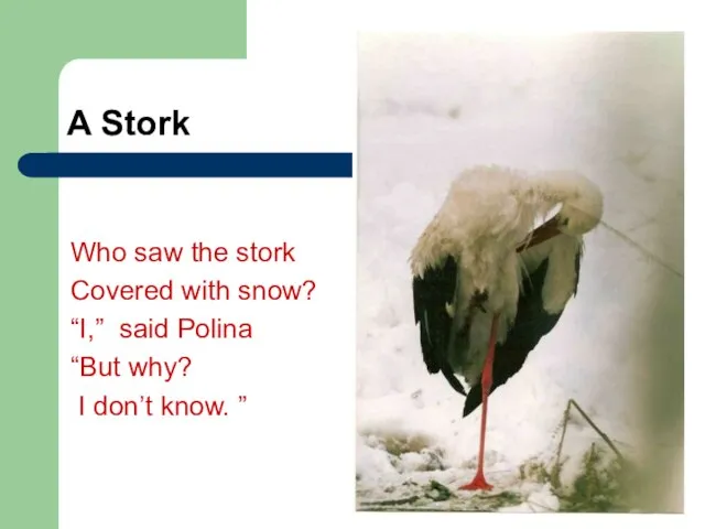 A Stork Who saw the stork Covered with snow? “I,” said Polina