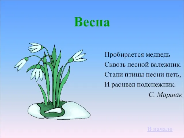 Весна Пробирается медведь Сквозь лесной валежник. Стали птицы песни петь, И расцвел