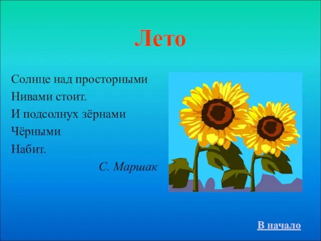 Лето Солнце над просторными Нивами стоит. И подсолнух зёрнами Чёрными Набит. С. Маршак В начало