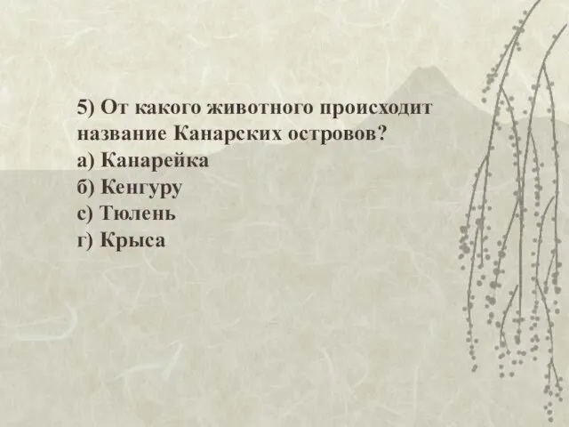 5) От какого животного происходит название Канарских островов? а) Канарейка б) Кенгуру с) Тюлень г) Крыса