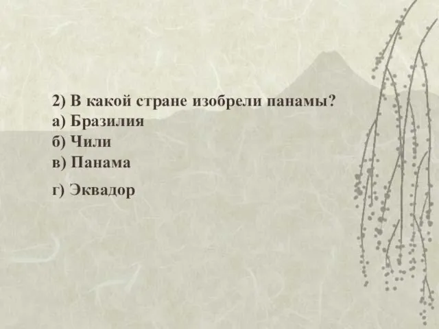 2) В какой стране изобрели панамы? а) Бразилия б) Чили в) Панама г) Эквадор