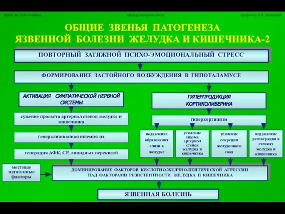 ОБЩИЕ ЗВЕНЬЯ ПАТОГЕНЕЗА ЯЗВЕННОЙ БОЛЕЗНИ ЖЕЛУДКА И КИШЕЧНИКА-2 ПОВТОРНЫЙ ЗАТЯЖНОЙ ПСИХО-ЭМОЦИОНАЛЬНЫЙ СТРЕСС