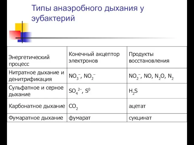 Типы анаэробного дыхания у эубактерий