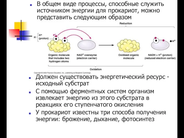 В общем виде процессы, способные служить источником энергии для прокариот, можно представить