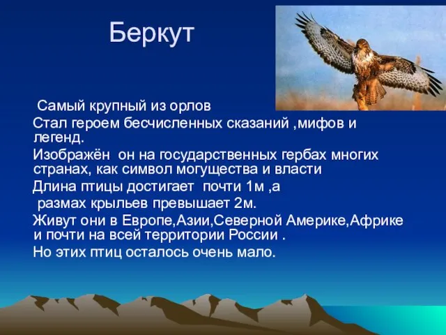 Беркут Самый крупный из орлов Стал героем бесчисленных сказаний ,мифов и легенд.