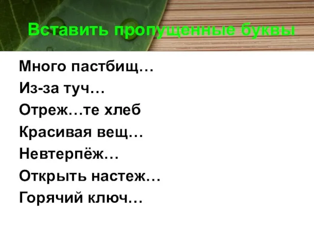 Вставить пропущенные буквы Много пастбищ… Из-за туч… Отреж…те хлеб Красивая вещ… Невтерпёж… Открыть настеж… Горячий ключ…