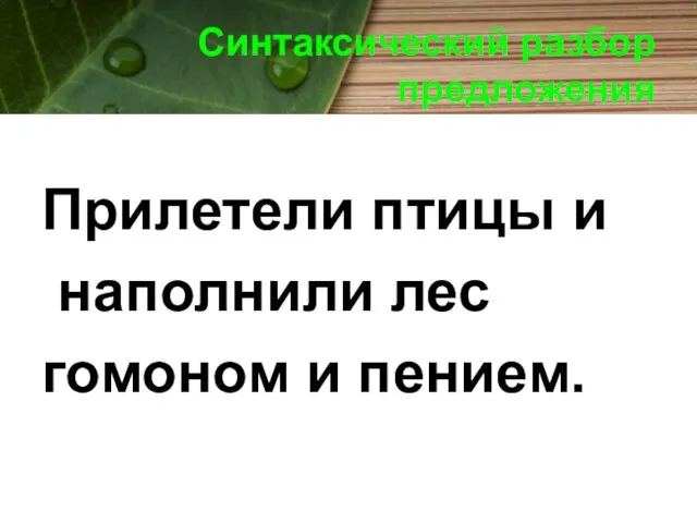 Синтаксический разбор предложения Прилетели птицы и наполнили лес гомоном и пением.