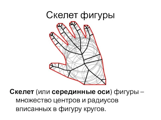 Скелет фигуры Скелет (или серединные оси) фигуры – множество центров и радиусов вписанных в фигуру кругов.