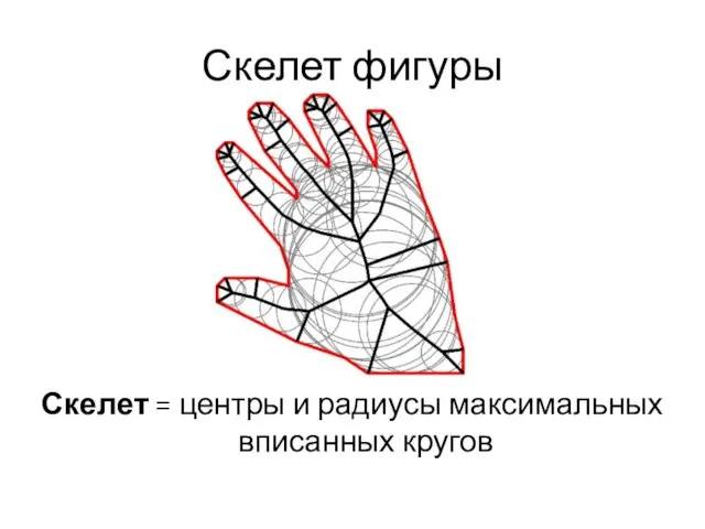 Скелет фигуры Скелет = центры и радиусы максимальных вписанных кругов