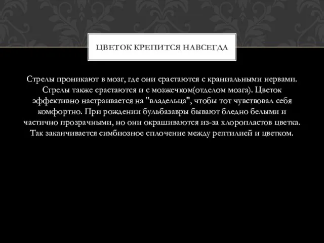 Стрелы проникают в мозг, где они срастаются с краниальными нервами. Стрелы также