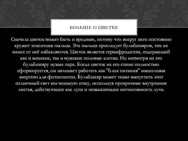 Сначала цветок может быть и вредным, потому что вокруг него постоянно кружит