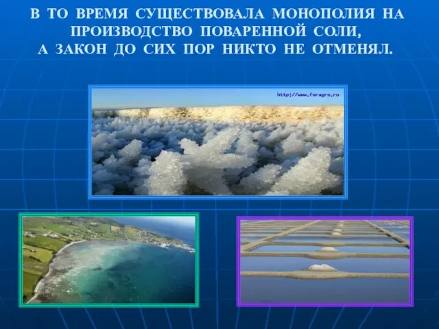 В ТО ВРЕМЯ СУЩЕСТВОВАЛА МОНОПОЛИЯ НА ПРОИЗВОДСТВО ПОВАРЕННОЙ СОЛИ, А ЗАКОН ДО