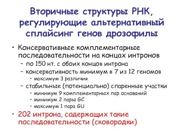 Вторичные структуры РНК, регулирующие альтернативный сплайсинг генов дрозофилы Консервативные комплементарные последовательности на